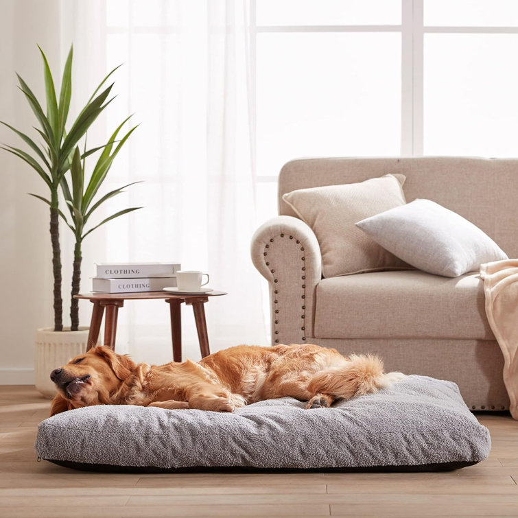 Shredded memory foam dog bed sale